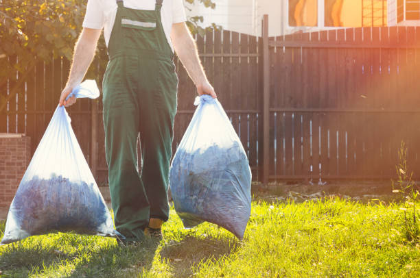 Best Electronics Removal Services  in Palo, IA