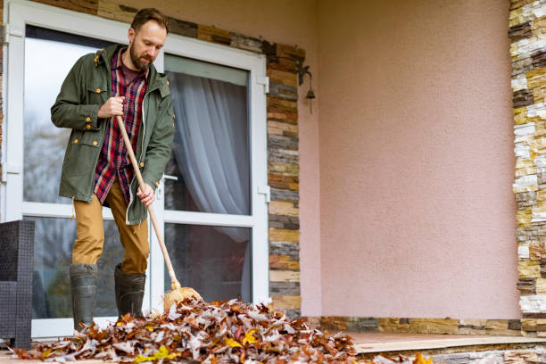 Best Junk Removal Near Me  in Palo, IA
