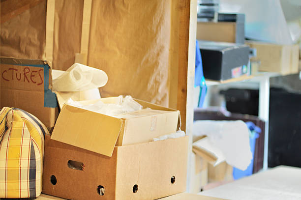 Best Office Junk Removal  in Palo, IA